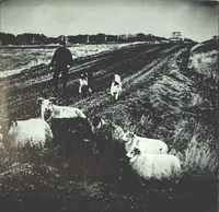 1981_1990\1985.0283bzr.jpg; 1985.0283; ;